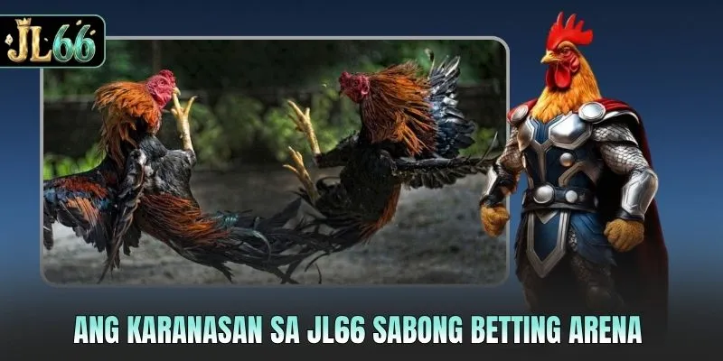 Ang karanasan sa JL66 sabong betting arena
